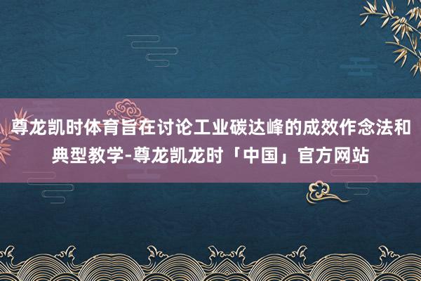 尊龙凯时体育旨在讨论工业碳达峰的成效作念法和典型教学-尊龙凯龙时「中国」官方网站