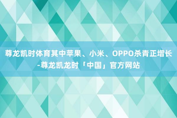 尊龙凯时体育其中苹果、小米、OPPO杀青正增长-尊龙凯龙时「中国」官方网站