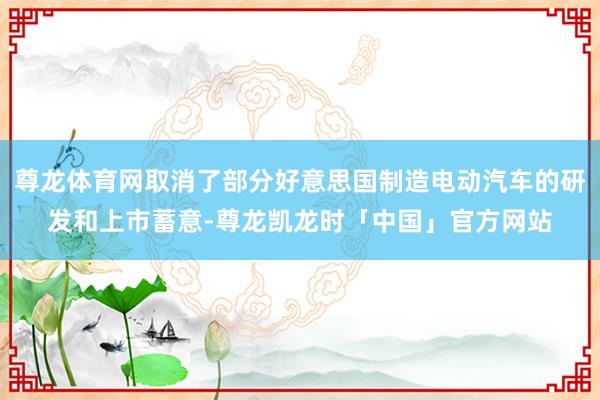 尊龙体育网取消了部分好意思国制造电动汽车的研发和上市蓄意-尊龙凯龙时「中国」官方网站